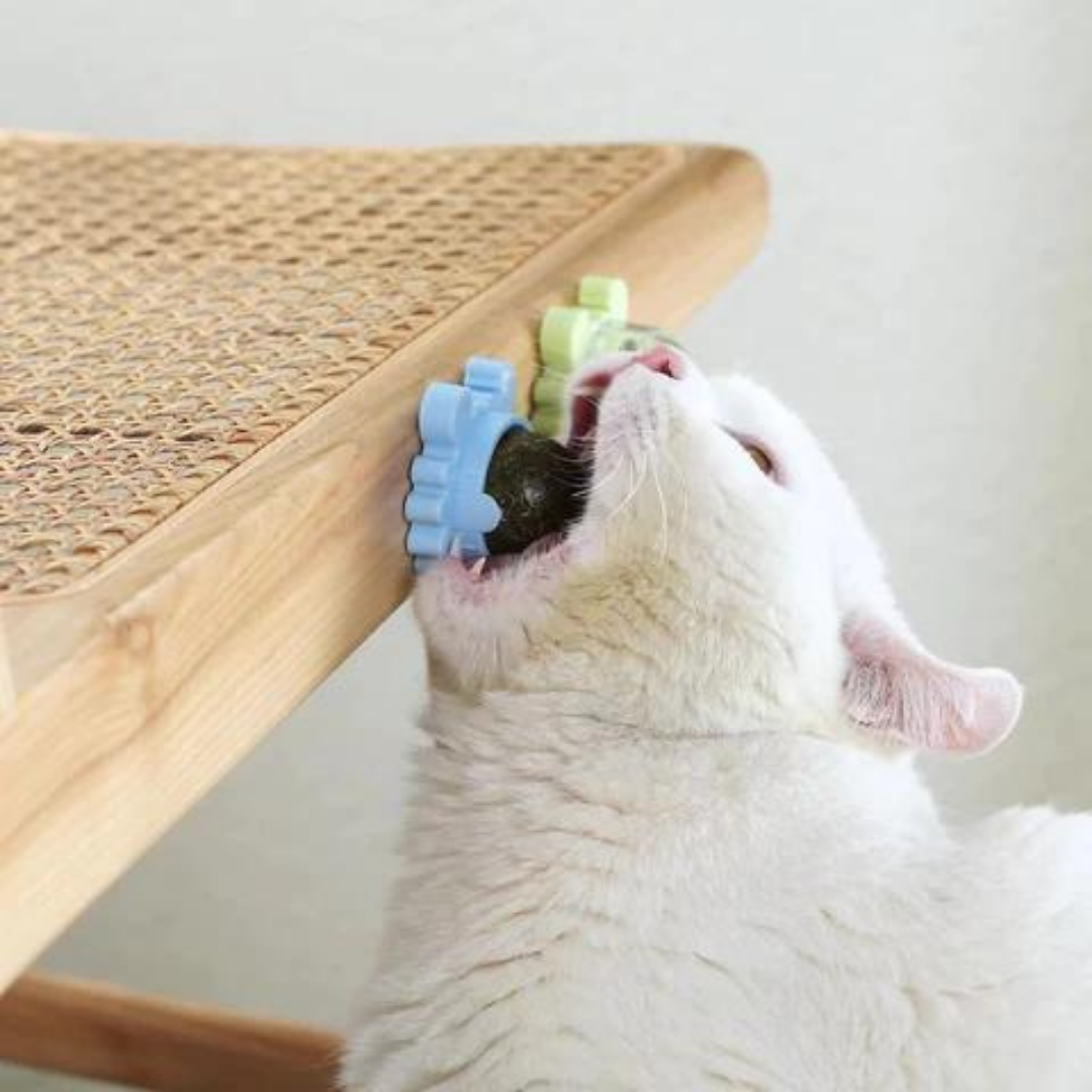 HappyLick-Mint-Ball 🐱💚Mach deine Katze glücklich!
